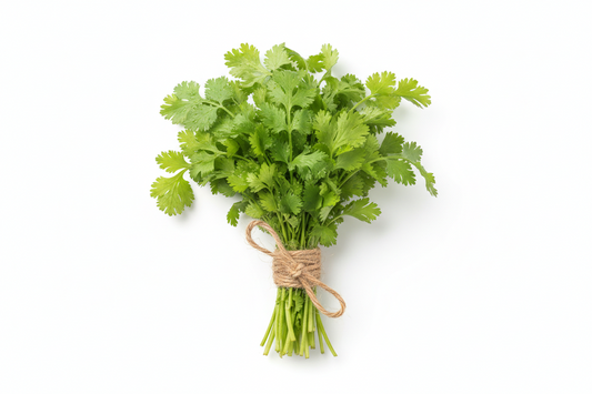 [Herbs] Coriander