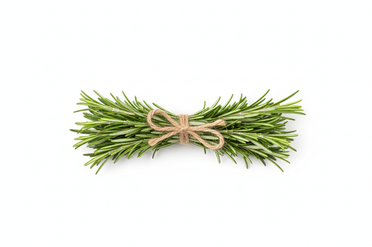 bunch of rosemary sprigs tied with twine laying on a white background with no shadows