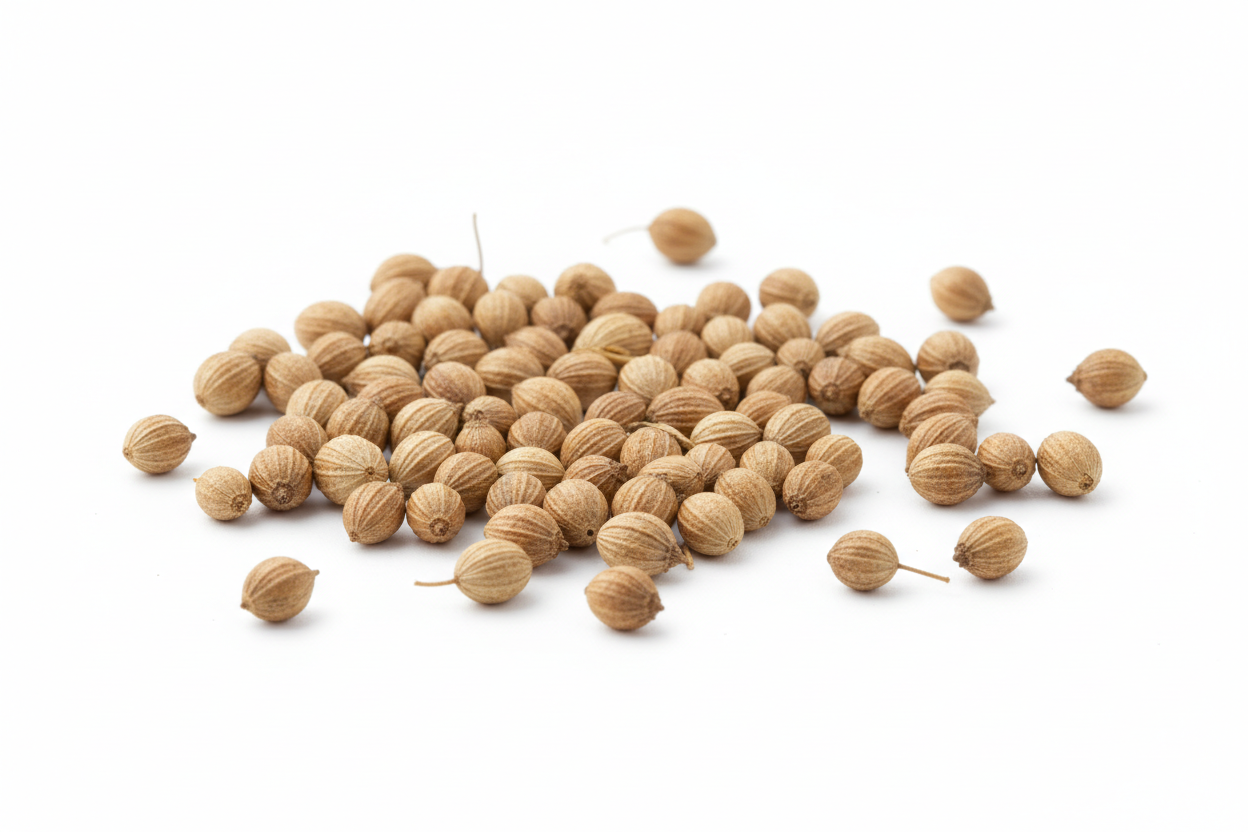 [Herbs] Coriander
